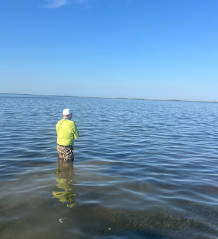 Perfect conditions for deep sea jigging and light tackle fishing today!