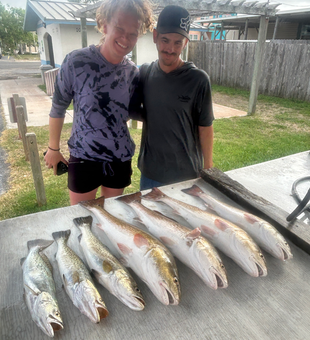 Caught a couple spotted weakfish while deep sea jigging light tackle in South Padre Island!