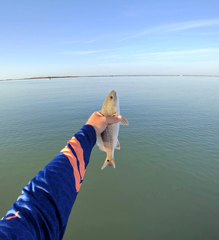 South Padre Island redfish in hand!