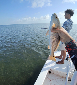 Beautiful South Padre Island redfish on the boat!