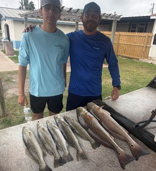 South Padre speckled trout and redfish filling the box!