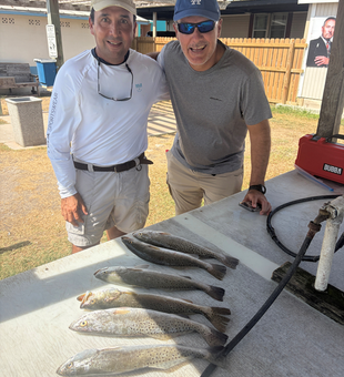 Fresh South Padre Island speckled trout ready for cleaning!