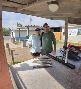 Fresh South Padre Island speckled trout ready for cleaning!