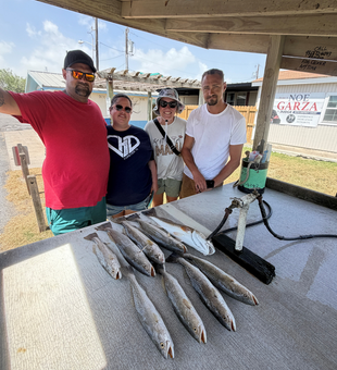 South Padre speckled trout ready for the table!