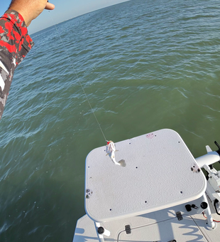 South Padre Island speckled trout on the line!