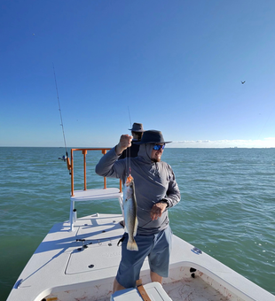 Beautiful speckled trout from South Padre Island waters!