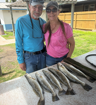 Four beautiful speckled trout from South Padre Island waters!