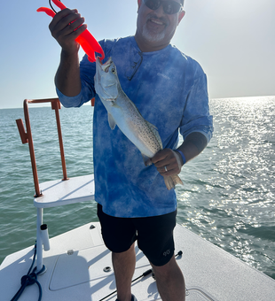 Hooked a speckled weakfish while deep sea jigging in Texas!