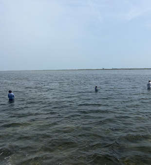Surf fishing action at South Padre Island.