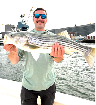Beautiful Portsmouth NH striped bass caught today!