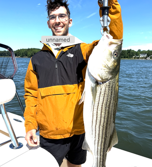 Nice striped bass from Portsmouth NH waters!
