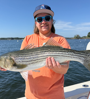 Beautiful Portsmouth striped bass caught on light tackle!