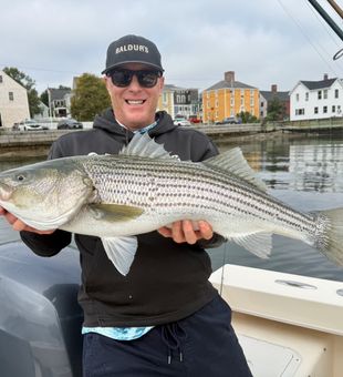 Beautiful Portsmouth NH striped bass makes for perfect day!