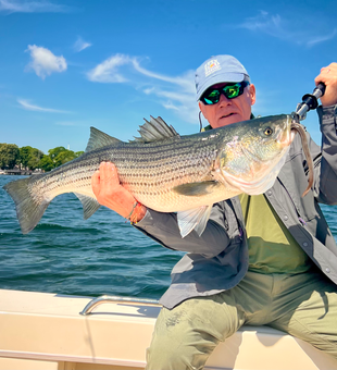Portsmouth striped bass caught using light tackle techniques!