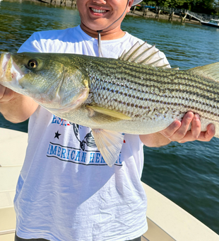Beautiful striped bass caught in Portsmouth waters!