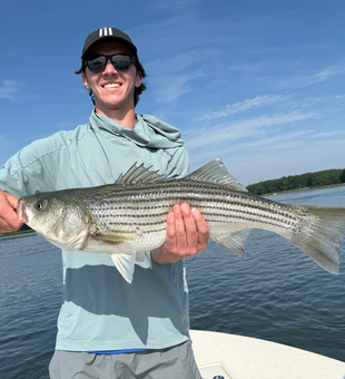 Striped bass on the line - fly fishing magic at Portsmouth Marina!