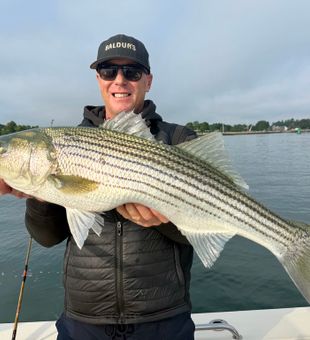 Beautiful Portsmouth NH striped bass!