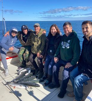 Cool breeze, calm lake, clear focus