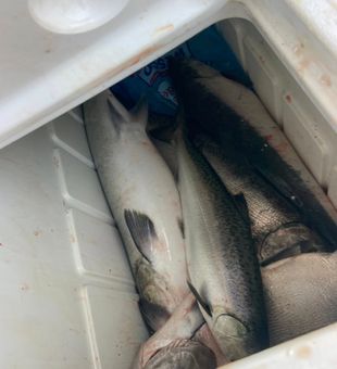 Morning lines on Muskegon waters
