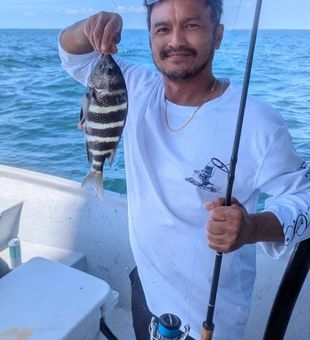 Tampa Bay sheepshead showing plenty of power