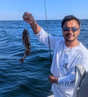 Tampa Bay flats fishing with steady bites
