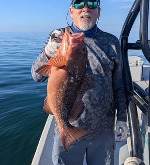 Powerful Red Grouper on deck
