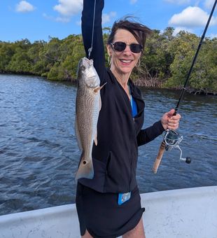 Solid Redfish catch on the flats