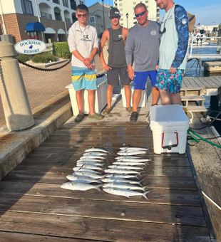 Set sail for a day of fishing in Morehead City.