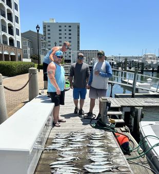 Reel moments made along the Crystal Coast