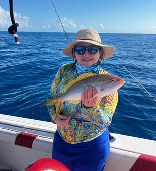 Colorful yellowtail snapper catch!