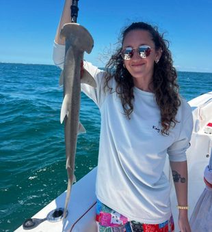 Unique hammerhead shark catch!