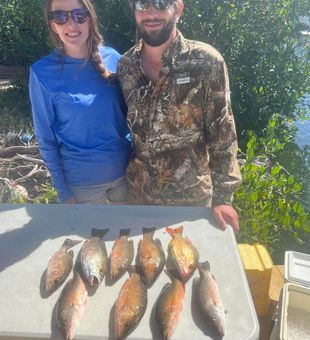 Grey Snapper Fishing 2023