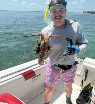 Naples Florida Gulf Coast Lobster Catch