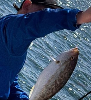 Days on the water, nights to remember.