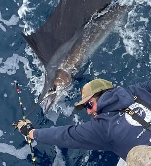 Powerful sailfish release
