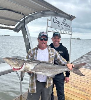 Big goliath grouper catch