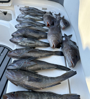 Nothing Beats a Day on the Water!
