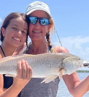 Redfish from Florida