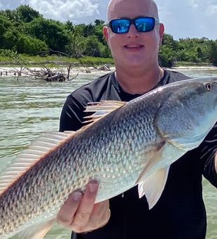 Redfish from Florida