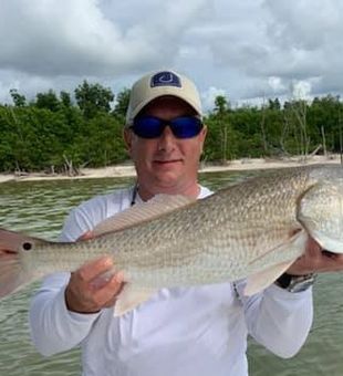 Redfish from Florida