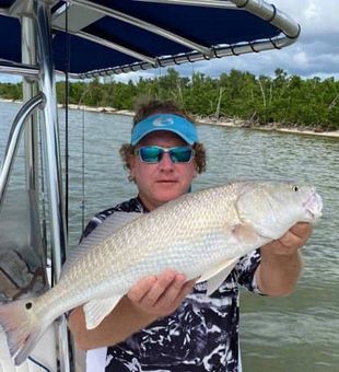 Redfish from Florida