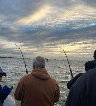 Patience is the key to a consistent Angling life.