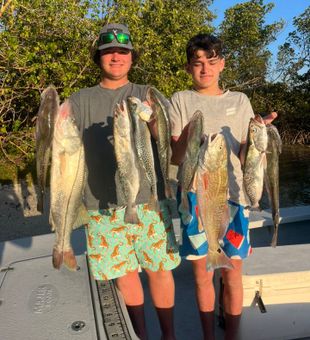 Sarasota bay delivered nonstop bends