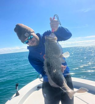 Casting along the flats during an exciting Sarasota, FL inshore fishing trip, known for consistent bites and beautiful coastal scenery.