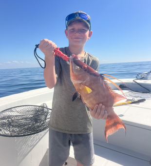 Beautiful Sarasota hogfish brought to the boat!