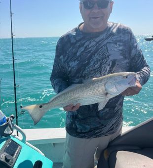 Calm waters, great gear, endless bites
