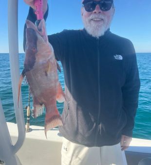 Another successful day inshore fishing around Sarasota, Florida, a top destination for anglers targeting shallow-water action along the Gulf Coast.