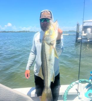 Solid Snook Catch