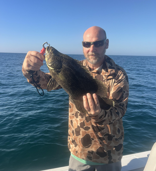 Beautiful Sarasota tripletail ready for the photo!