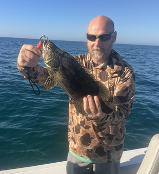 Beautiful Sarasota tripletail makes for an excellent catch!